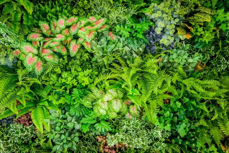 Best Living Walls for Beginners: Ultimate Easy Guide