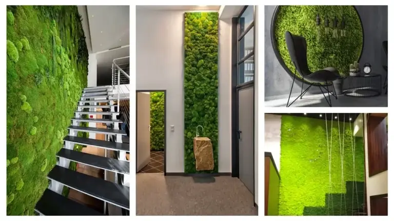Best Living Walls for Entryways: Ultimate Foyer Guide