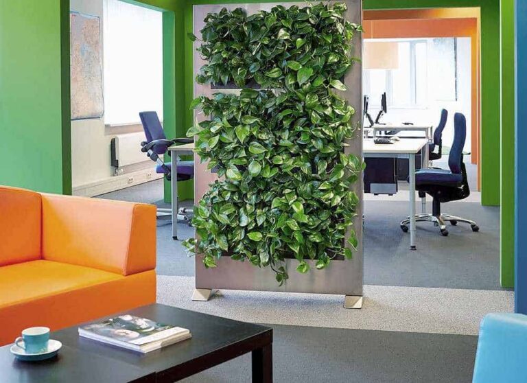 Best Living Walls for Small Spaces: Ultimate Compact Guide
