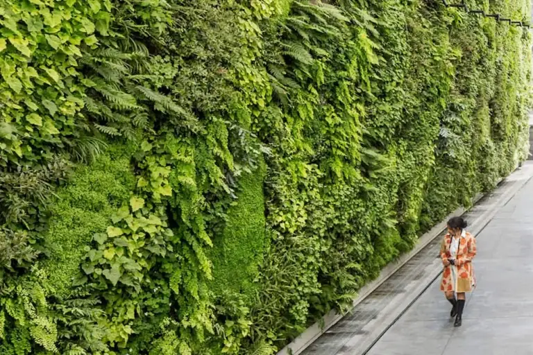 Best Living Walls Options: Ultimate Architectural & Horticultural Guide