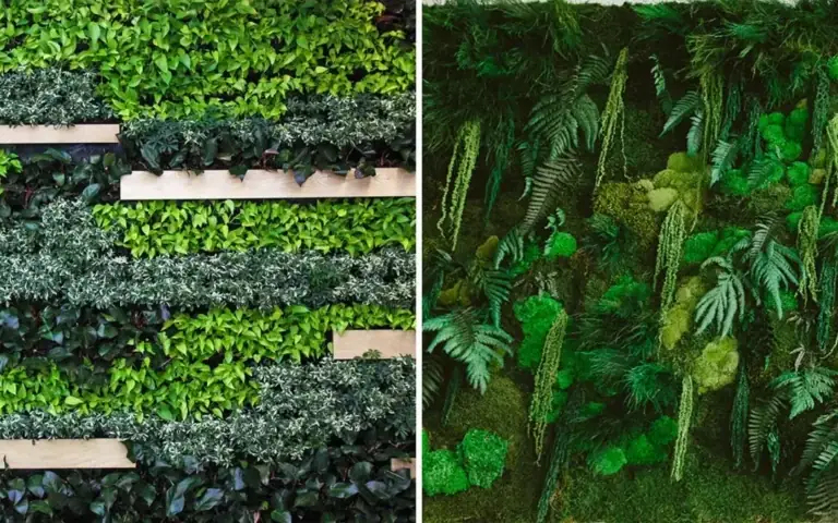 Compare Living Walls: Ultimate Architectural & System Guide