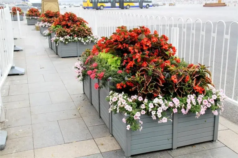 Compare Modular Planters: Ultimate Guide to Sectional Containers