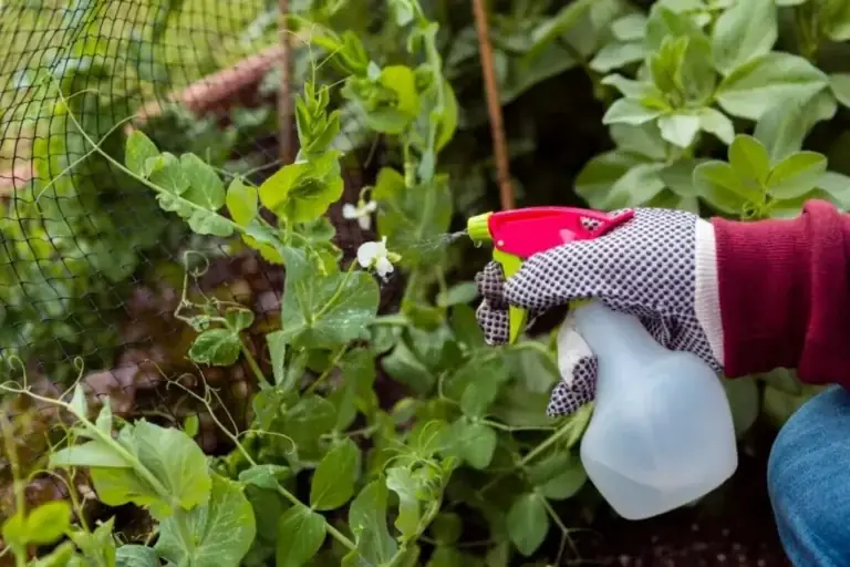 How to Avoid Plant Pest Infestations: Ultimate Biosecurity Guide