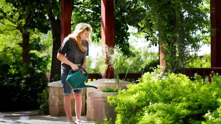 How to Reduce Water Consumption: Ultimate Conservation & Efficiency Guide